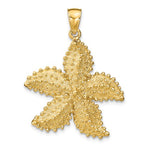 Indlæs billede til gallerivisning 14k Yellow Gold Starfish Ocean Pendant Charm
