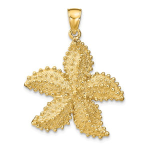 14k Yellow Gold Starfish Ocean Pendant Charm