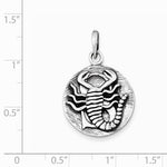 Afbeelding in Gallery-weergave laden, Sterling Silver Zodiac Horoscope Scorpio Antique Finish Pendant Charm

