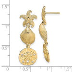 Charger l&#39;image dans la galerie, 14k Yellow Gold Sand Dollar Starfish Clam Scallop Shell Dangle Earrings
