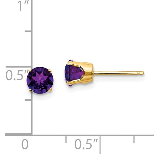14k Yellow Gold 5mm Round Amethyst Stud Earrings February Birthstone